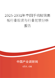 2025-2031年中國手機玻璃面板行業現狀與行業前景分析報告