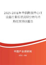 2025-2031年中國數據中心IT設備行業現狀調研分析與市場前景預測報告