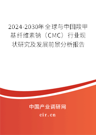 2024-2030年全球與中國羧甲基纖維素鈉（CMC）行業現狀研究及發展前景分析報告