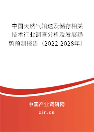中國天然氣輸送及儲存相關(guān)技術(shù)行業(yè)調(diào)查分析及發(fā)展趨勢預(yù)測報告（2022-2028年）