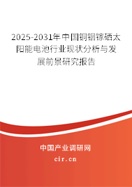 2025-2031年中國銅銦鎵硒太陽能電池行業現狀分析與發展前景研究報告