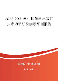 2025-2031年中國塑料水管開關(guān)市場調(diào)研及前景預(yù)測報告