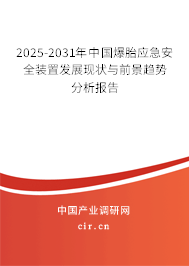 2025-2031年中國爆胎應急安全裝置發展現狀與前景趨勢分析報告