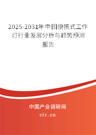 2025-2031年中國便攜式工作燈行業(yè)發(fā)展分析與趨勢預測報告