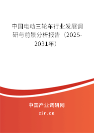 中國電動三輪車行業發展調研與前景分析報告（2025-2031年）