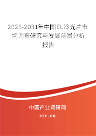 2025-2031年中國EL冷光片市場調查研究與發展前景分析報告