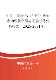 中國二硼化鋯（ZrB2）粉體市場現狀調研與發展趨勢分析報告（2025-2031年）