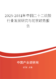 2024-2030年中國二十二烷酸行業發展研究與前景趨勢報告