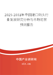 2025-2031年中國港口碼頭行業發展研究分析與市場前景預測報告