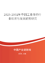 2025-2031年中國(guó)工業(yè)炸藥行業(yè)現(xiàn)狀與發(fā)展趨勢(shì)研究