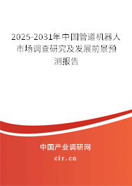 2025-2031年中國管道機器人市場調查研究及發展前景預測報告