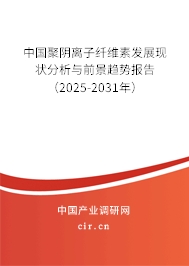中國聚陰離子纖維素發(fā)展現(xiàn)狀分析與前景趨勢報告（2025-2031年）