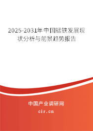 2025-2031年中國錳鐵發展現狀分析與前景趨勢報告