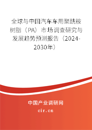 全球與中國(guó)汽車車用聚酰胺樹脂（PA）市場(chǎng)調(diào)查研究與發(fā)展趨勢(shì)預(yù)測(cè)報(bào)告（2024-2030年）