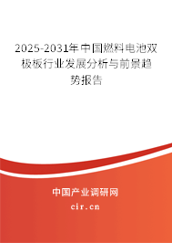 2025-2031年中國燃料電池雙極板行業發展分析與前景趨勢報告