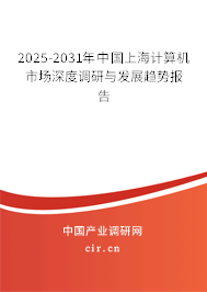 2025-2031年中國上海計算機市場深度調研與發展趨勢報告