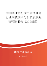 中國商業銀行動產質押業務行業現狀調研分析及發展趨勢預測報告（2025版）