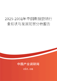 2025-2031年中國數據營銷行業現狀與發展前景分析報告