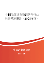 中國胎壓計市場調研與行業前景預測報告（2025年版）