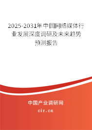 2025-2031年中國網絡媒體市場現狀調研分析及發展趨勢報告