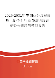 2025-2031年中國業務流程管理（BPM）行業發展深度調研及未來趨勢預測報告