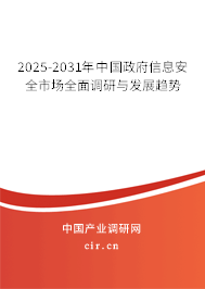 2025-2031年中國政府信息安全市場全面調研與發展趨勢