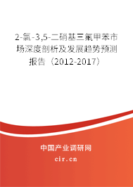 2-氯-3,5-二硝基三氟甲苯市場深度剖析及發展趨勢預測報告（2012-2017）