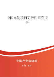 中國(guó)電刨項(xiàng)目可行性研究報(bào)告