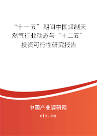 “十一五”期間中國煤制天然氣行業動態與“十二五”投資可行性研究報告