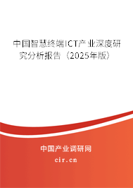 中國智慧終端ICT產業深度研究分析報告（2025年版）