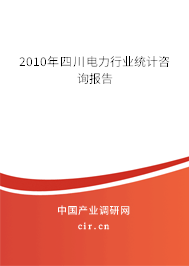 2010年四川電力行業(yè)統(tǒng)計咨詢報告