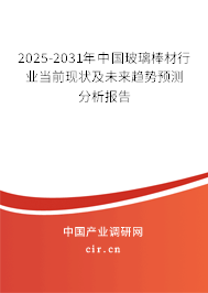 2025-2031年中國玻璃棒材行業(yè)當(dāng)前現(xiàn)狀及未來趨勢預(yù)測分析報(bào)告