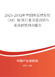 2025-2031年中國單層抗反射（AR）玻璃行業(yè)深度調(diào)研與發(fā)展趨勢預(yù)測報(bào)告