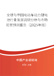 全球與中國電動車動力鋰電池行業(yè)發(fā)展調研分析與市場前景預測報告（2025年版）