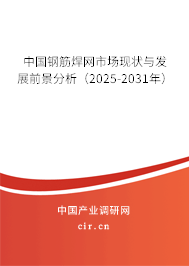 中國(guó)鋼筋焊網(wǎng)市場(chǎng)現(xiàn)狀與發(fā)展前景分析（2025-2031年）