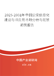 2025-2031年中國公安信息化建設與IT應用市場分析與前景趨勢報告