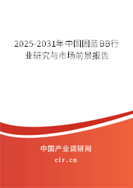 2025-2031年中國固藍BB行業(yè)研究與市場前景報告