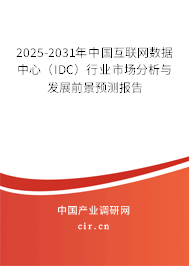 2025-2031年中國互聯網數據中心（IDC）行業市場分析與發展前景預測報告