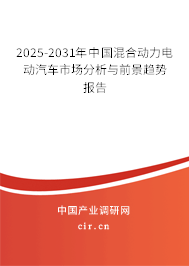 2024-2030年中國混合動力電動汽車市場分析與前景趨勢報告