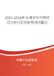 2025-2031年吉林女包市場(chǎng)研究分析與前景趨勢(shì)預(yù)測(cè)報(bào)告