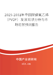 2025-2031年中國聚偏氟乙烯（PVDF）發展現狀分析與市場前景預測報告