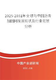 2025-2031年全球與中國瀝青加固網發展現狀及行業前景分析