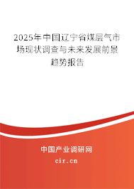 2025年中國遼寧省煤層氣市場現(xiàn)狀調(diào)查與未來發(fā)展前景趨勢報告