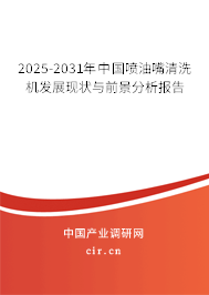 2025-2031年中國噴油嘴清洗機發(fā)展現(xiàn)狀與前景分析報告