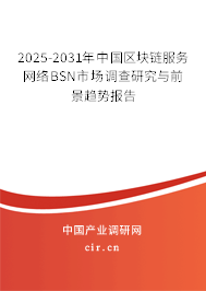 2025-2031年中國區塊鏈服務網絡BSN市場調查研究與前景趨勢報告