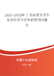2025-2031年上海合成洗滌劑發展現狀與前景趨勢預測報告