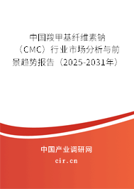 中國羧甲基纖維素鈉（CMC）行業市場分析與前景趨勢報告（2025-2031年）