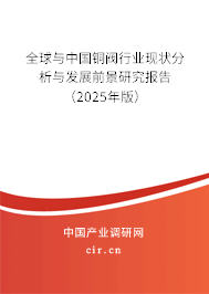全球與中國銅閥行業現狀分析與發展前景研究報告（2025年版）
