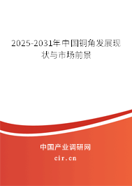 2025-2031年中國銅角發(fā)展現(xiàn)狀與市場前景