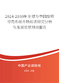 2024-2030年全球與中國旋轉導向系統市場現狀研究分析與發展前景預測報告